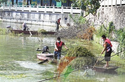 清洁 大水缸 他们在行动