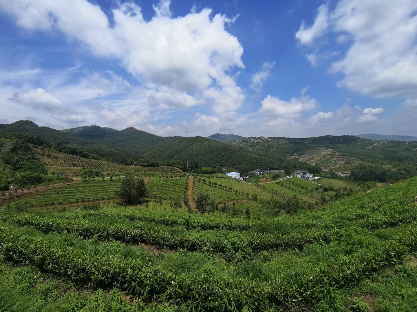 平顶山舞钢市简介图片